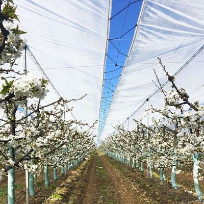 Avɔ e nɔ cyɔn alɔ atín sínsɛ́n jí é -ldeal