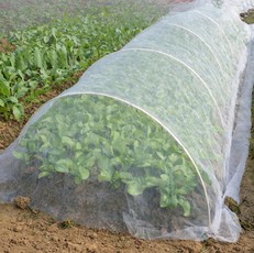 Anti Aphid Mesh 4 Anti Aphid Mesh 4